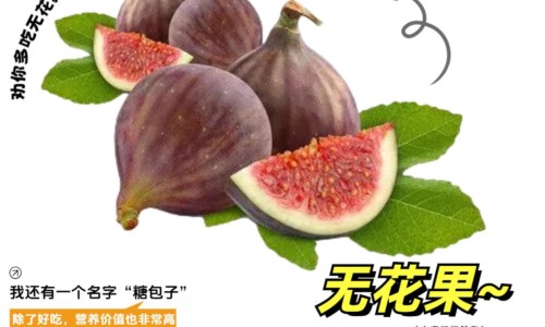鸡蛋蜂蜜水的功效-鸡蛋蜂蜜和维生素有什么功效网 - 网站提供鸡蛋加蜂蜜吃了对身体好吗小常识、鸡蛋蜂蜜和维生素有什么功效和作用
